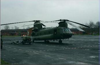 Chinook